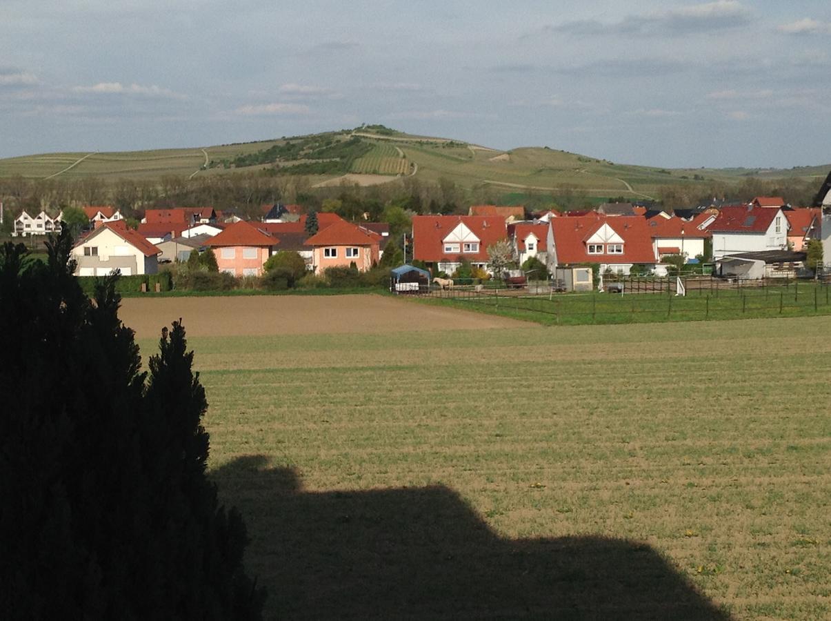 Gutshof Rebblute Bed and Breakfast Gau-Odernheim Esterno foto
